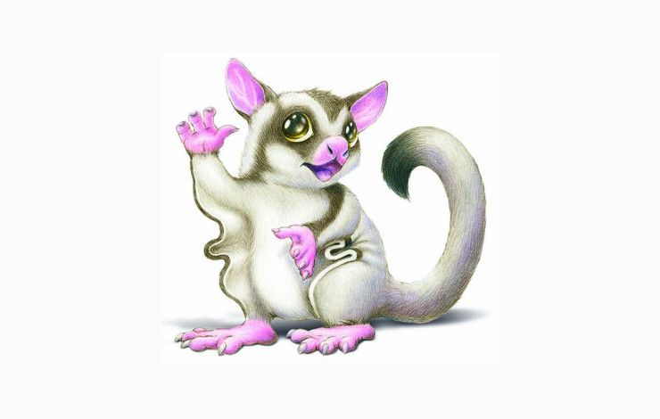 Illustration of a small sugar glider possum waving