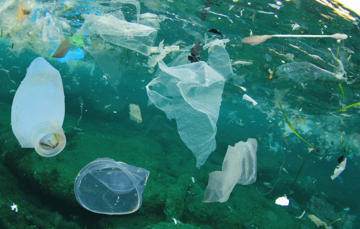 plastic in the ocean