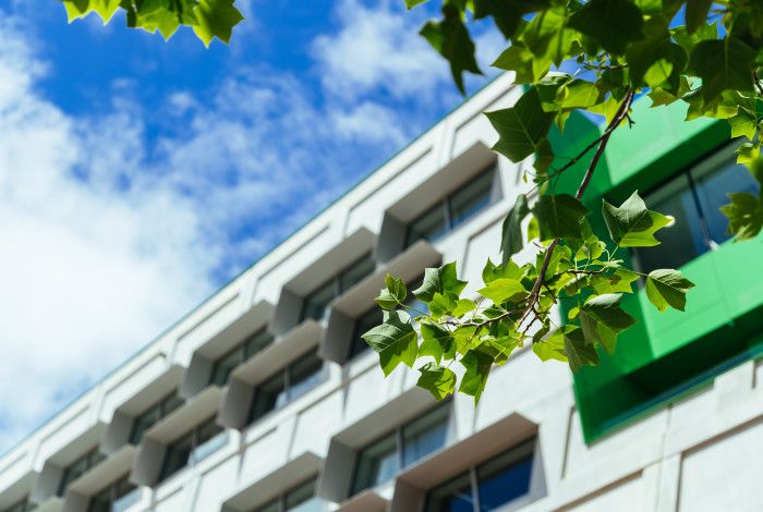 council building grey windows with leaves