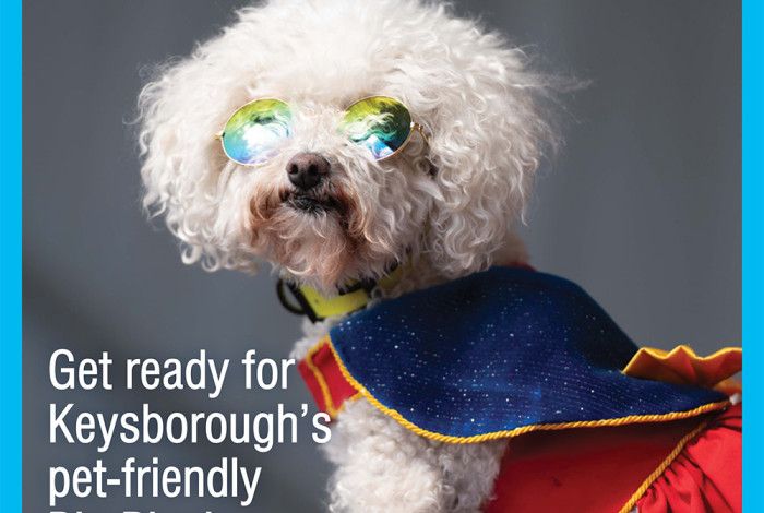 Council News April 2025 Dog with sunglasses and clothing on the front cover