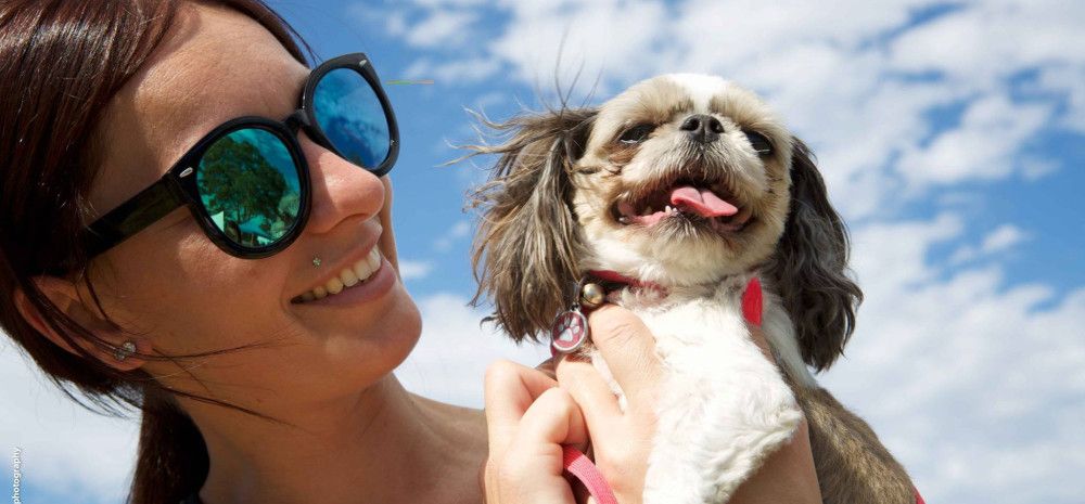 A woman wearing sunglasses holds a brown and white dog up next to her face in front of a cloudy blue sky.