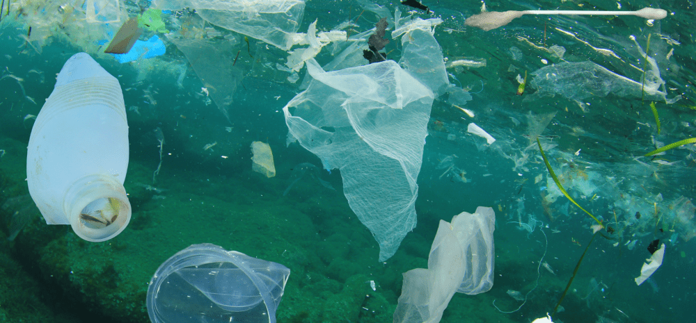 plastic in the ocean