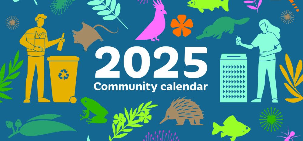 Collection of illustrated images around the title 2025 Community Calendar
