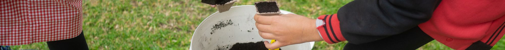 people digging in a bucket of soil