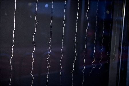 Illuminated Plant fibres