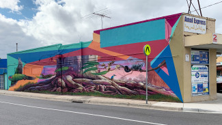 Roots by Hayden Dewar