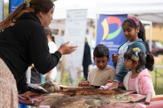 Discover Dandenong Creek Festival 2024
