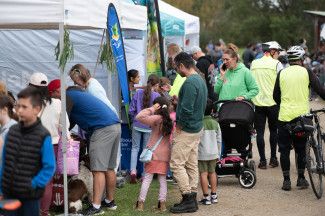 Discover Dandenong Creek Festival 2024