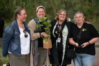 Discover Dandenong Creek Festival 2024