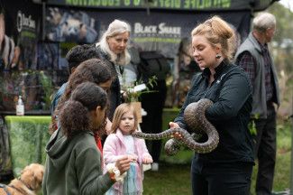 Discover Dandenong Creek Festival 2024