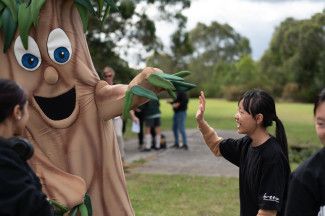 Discover Dandenong Creek Festival 2024