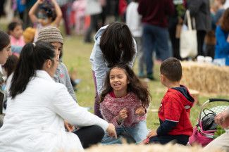 Discover Dandenong Creek Festival 2024