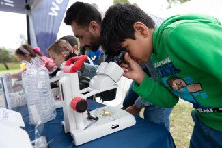 Discover Dandenong Creek Festival 2024