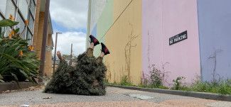 A person lying on the ground