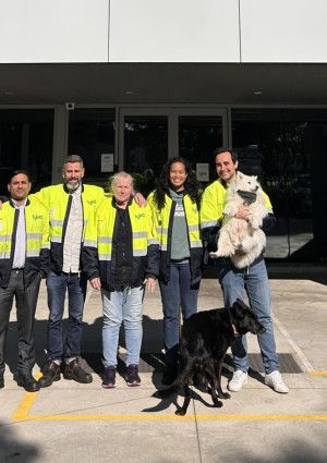 Lyka team members and dogs.